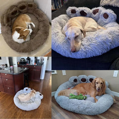 Luxury Dog Sofa Bed