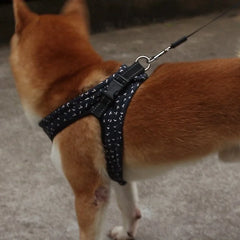 Stylish Secure Dog Harness