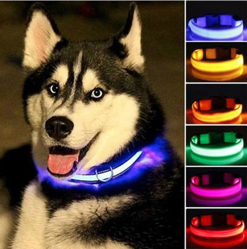 Glow In The Dark Dog Collar