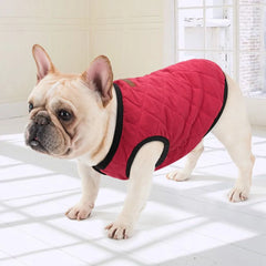 Winter Dog Jacket